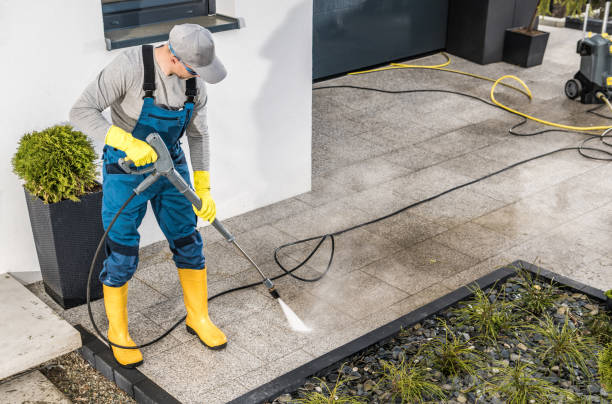 Best Power Washing Near Me  in Vienna, WV